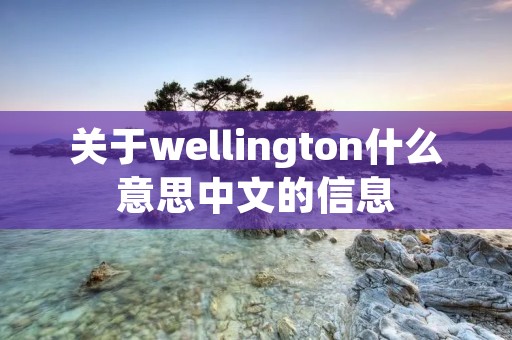 关于wellington什么意思中文的信息 关于wellington什么意思中文的信息
