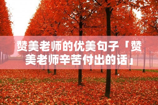 赞美老师的优美句子「赞美老师辛苦付出的话」