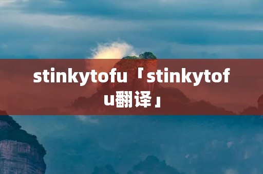 stinkytofu「stinkytofu翻译」