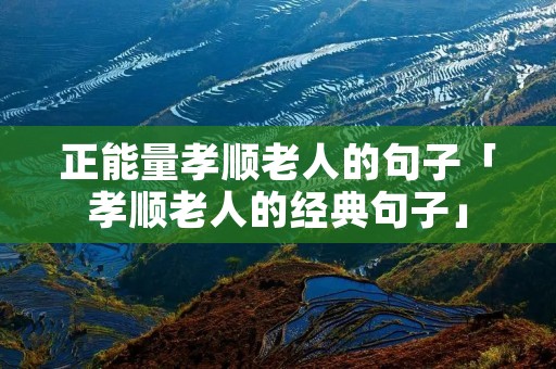 正能量孝顺老人的句子「孝顺老人的经典句子」
