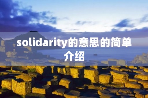 solidarity的意思的简单介绍