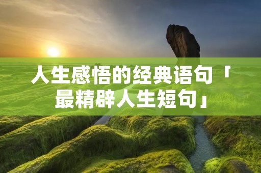 人生感悟的经典语句「最精辟人生短句」