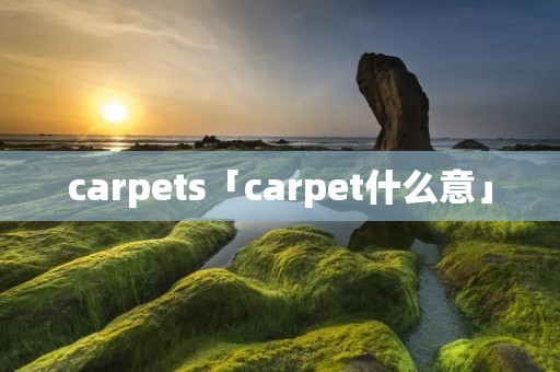 carpets「carpet什么意」 carpets「carpet什么意」