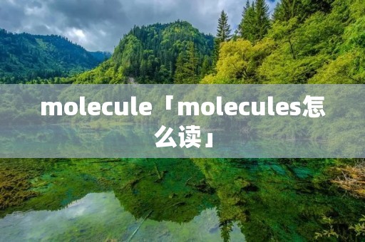 molecule「molecules怎么读」