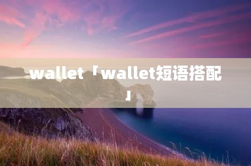 wallet「wallet短语搭配」
