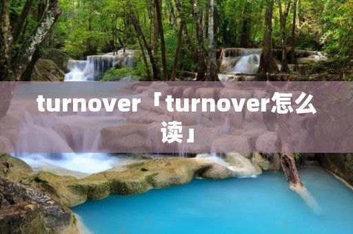 turnover「turnover怎么读」