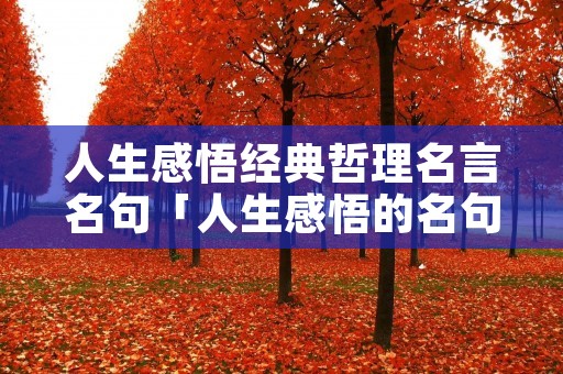 人生感悟经典哲理名言名句「人生感悟的名句 励志」