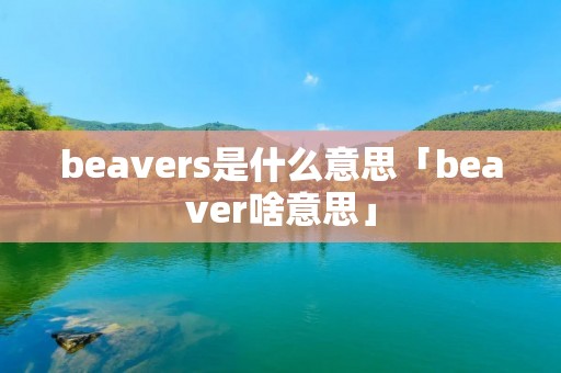 beavers是什么意思「beaver啥意思」