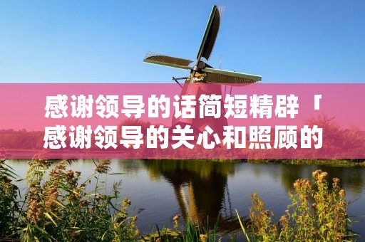 感谢领导的话简短精辟「感谢领导的关心和照顾的话语」