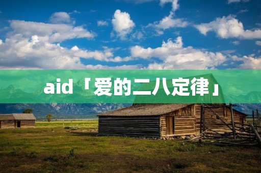 aid「爱的二八定律」