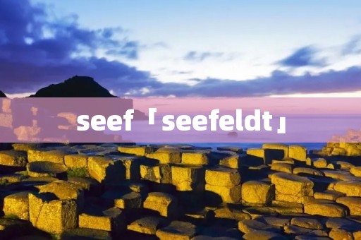 seef「seefeldt」