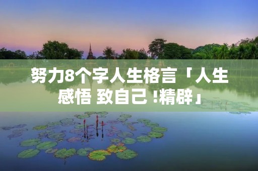 努力8个字人生格言「人生感悟 致自己 !精辟」