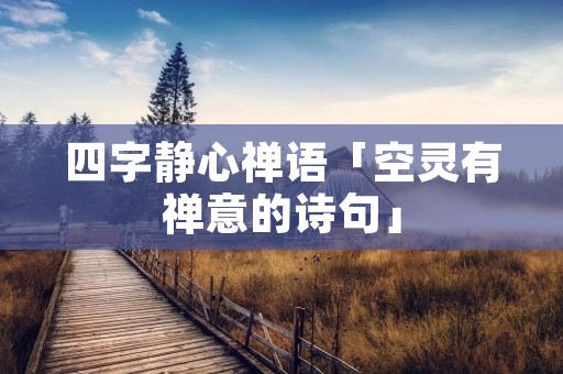 四字静心禅语「空灵有禅意的诗句」