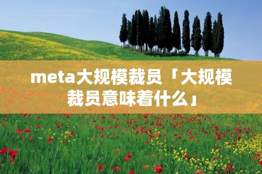 meta大规模裁员「大规模裁员意味着什么」 meta大规模裁员「大规模裁员意味着什么」