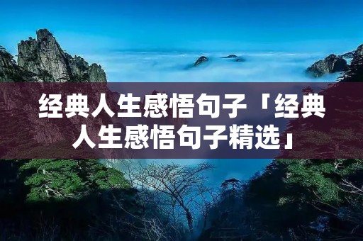 经典人生感悟句子「经典人生感悟句子精选」