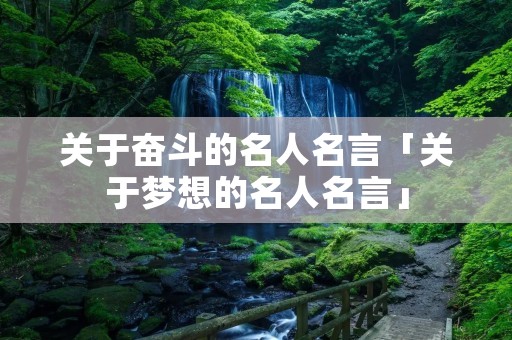 关于奋斗的名人名言「关于梦想的名人名言」