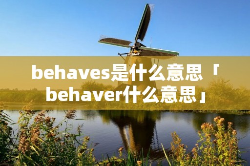 behaves是什么意思「behaver什么意思」