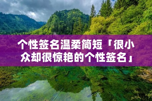 个性签名温柔简短「很小众却很惊艳的个性签名」