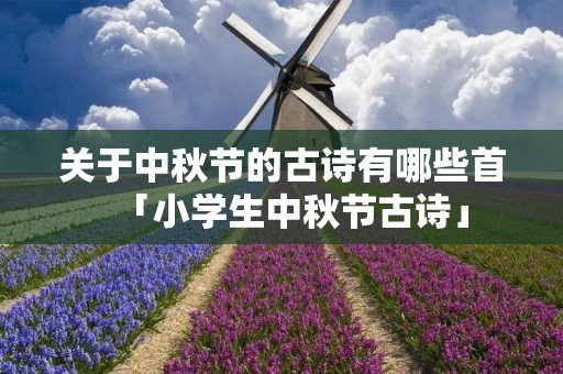 关于中秋节的古诗有哪些首「小学生中秋节古诗」 关于中秋节的古诗有哪些首「小学生中秋节古诗」