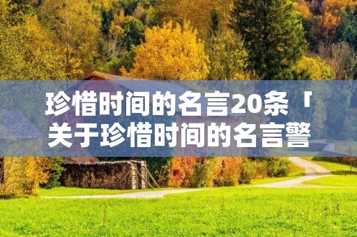 珍惜时间的名言20条「关于珍惜时间的名言警句」