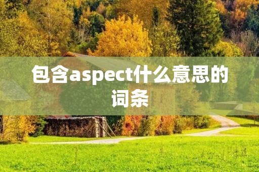 包含aspect什么意思的词条