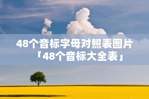 48个音标字母对照表图片「48个音标大全表」