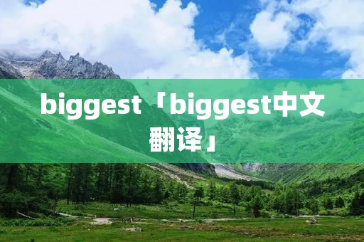biggest「biggest中文翻译」
