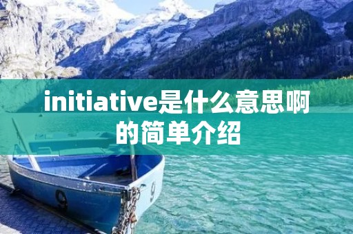 initiative是什么意思啊的简单介绍