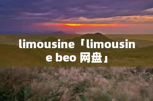 limousine「limousine beo 网盘」