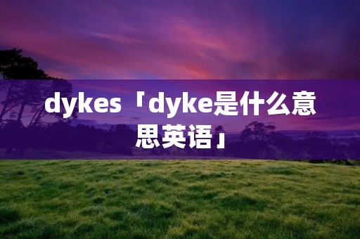 dykes「dyke是什么意思英语」 dykes「dyke是什么意思英语」