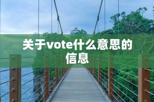 关于vote什么意思的信息