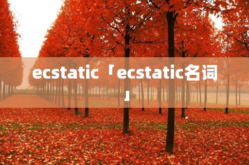 ecstatic「ecstatic名词」 ecstatic「ecstatic名词」