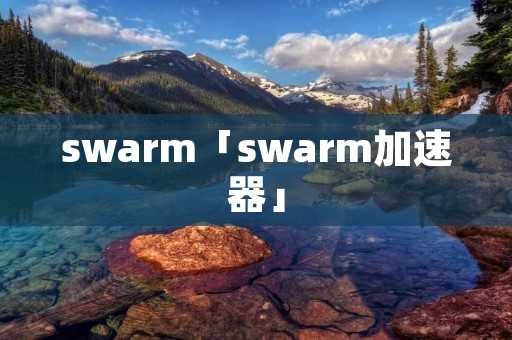 swarm「swarm加速器」