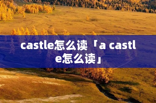 castle怎么读「a castle怎么读」