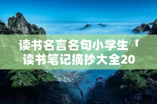 读书名言名句小学生「读书笔记摘抄大全20篇」