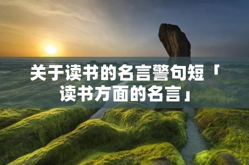 关于读书的名言警句短「读书方面的名言」