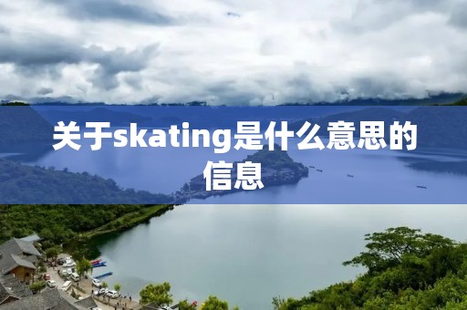关于skating是什么意思的信息