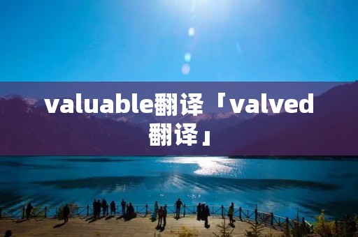 valuable翻译「valved翻译」