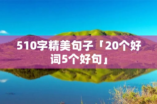 510字精美句子「20个好词5个好句」