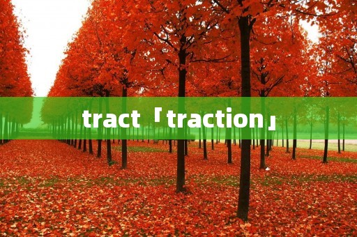 tract「traction」 tract「traction」