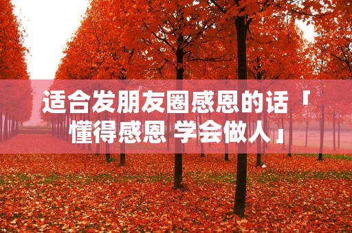 适合发朋友圈感恩的话「懂得感恩 学会做人」