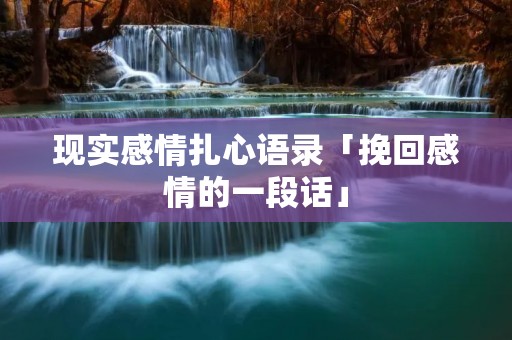 现实感情扎心语录「挽回感情的一段话」