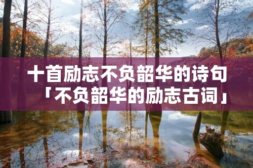 十首励志不负韶华的诗句「不负韶华的励志古词」