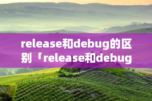 release和debug的区别「release和debug计算结果不一致」