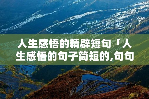 人生感悟的精辟短句「人生感悟的句子简短的,句句精辟现实2021」 人生感悟的精辟短句「人生感悟的句子简短的,句句精辟现实2021」