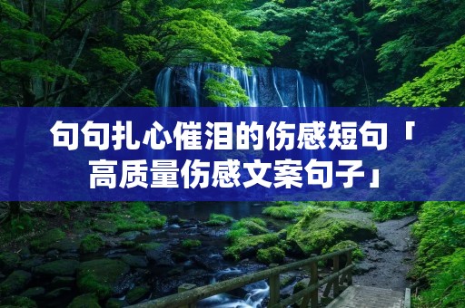 句句扎心催泪的伤感短句「高质量伤感文案句子」