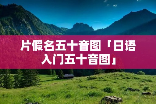 片假名五十音图「日语入门五十音图」