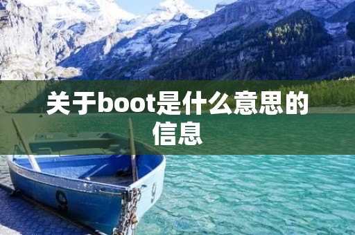 关于boot是什么意思的信息