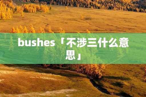bushes「不涉三什么意思」 bushes「不涉三什么意思」