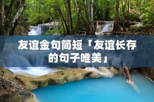 友谊金句简短「友谊长存的句子唯美」